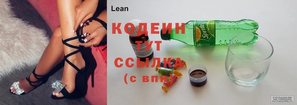 стаф Медногорск