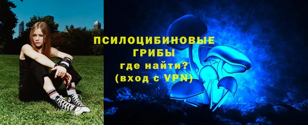 мдма Няндома
