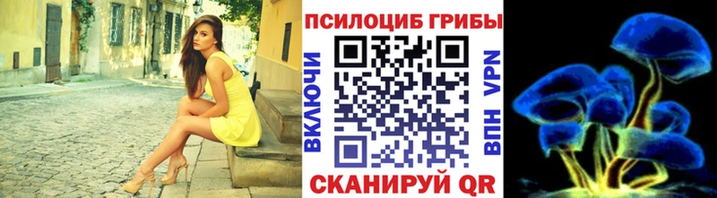 Псилоцибиновые грибы Cubensis  блэк спрут зеркало  Куртамыш 